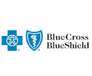 Blue Cross Blue Shield insurance