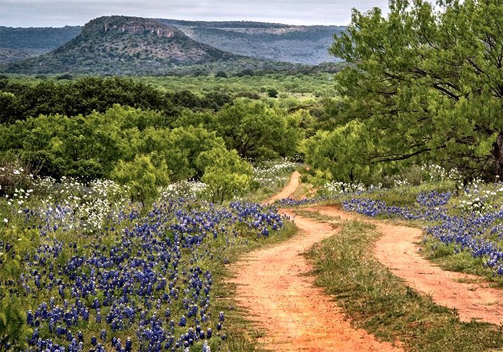 Hill County, TX