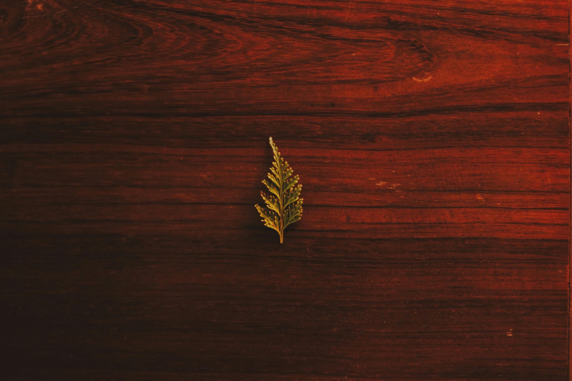 Hardwood Flooring