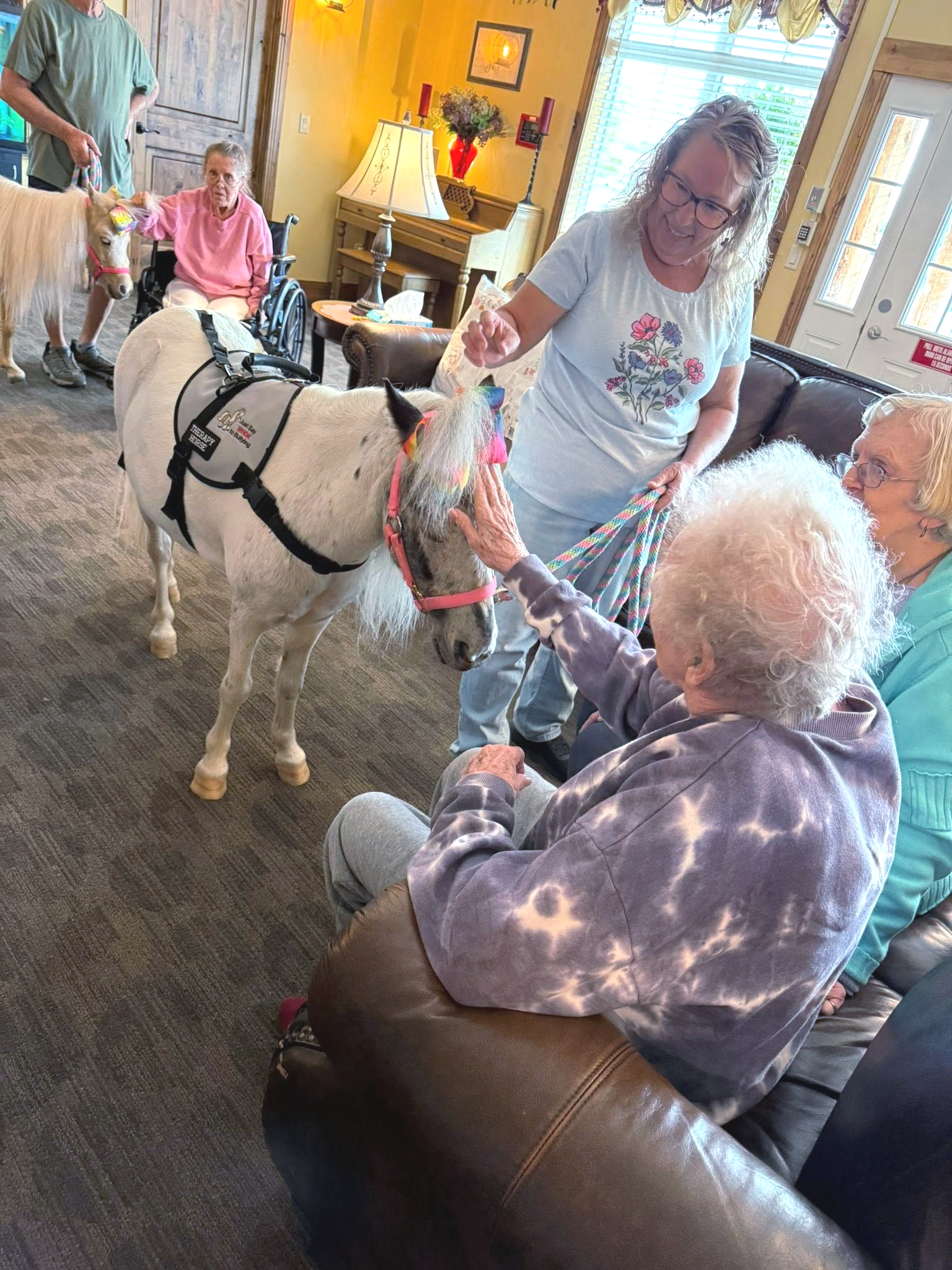 People petting a small horse indoors. Elderly woman smiles, another woman holds it. Bright room.