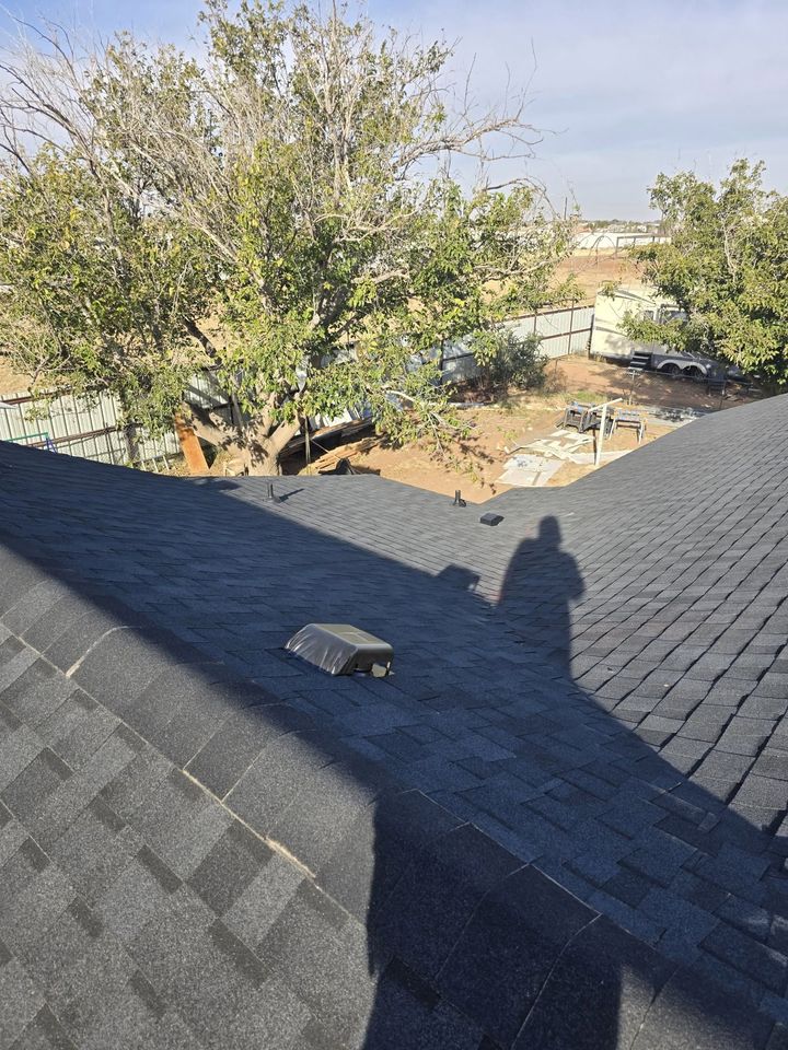Rooftop shingles with a small skylight, overlooking trees and a yard in bright sunlight.