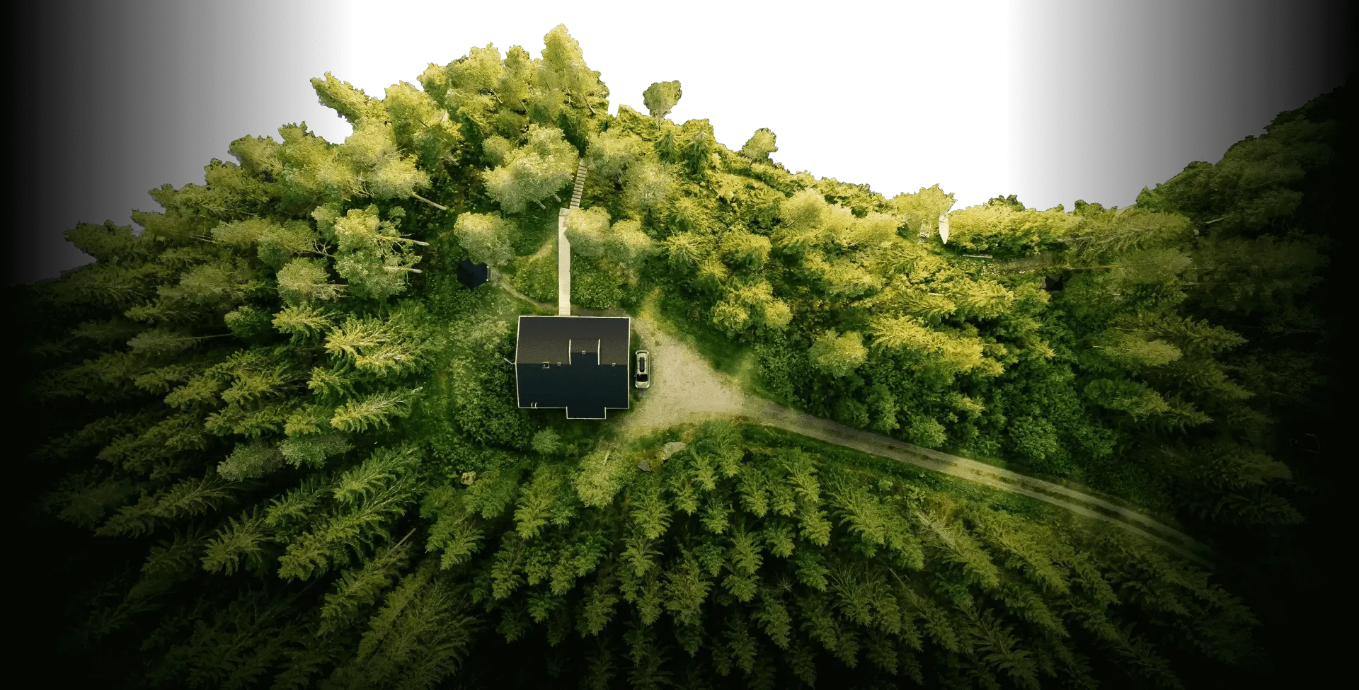 Black cabin surrounded by lush green trees on a hill. A winding path leads to the cabin.