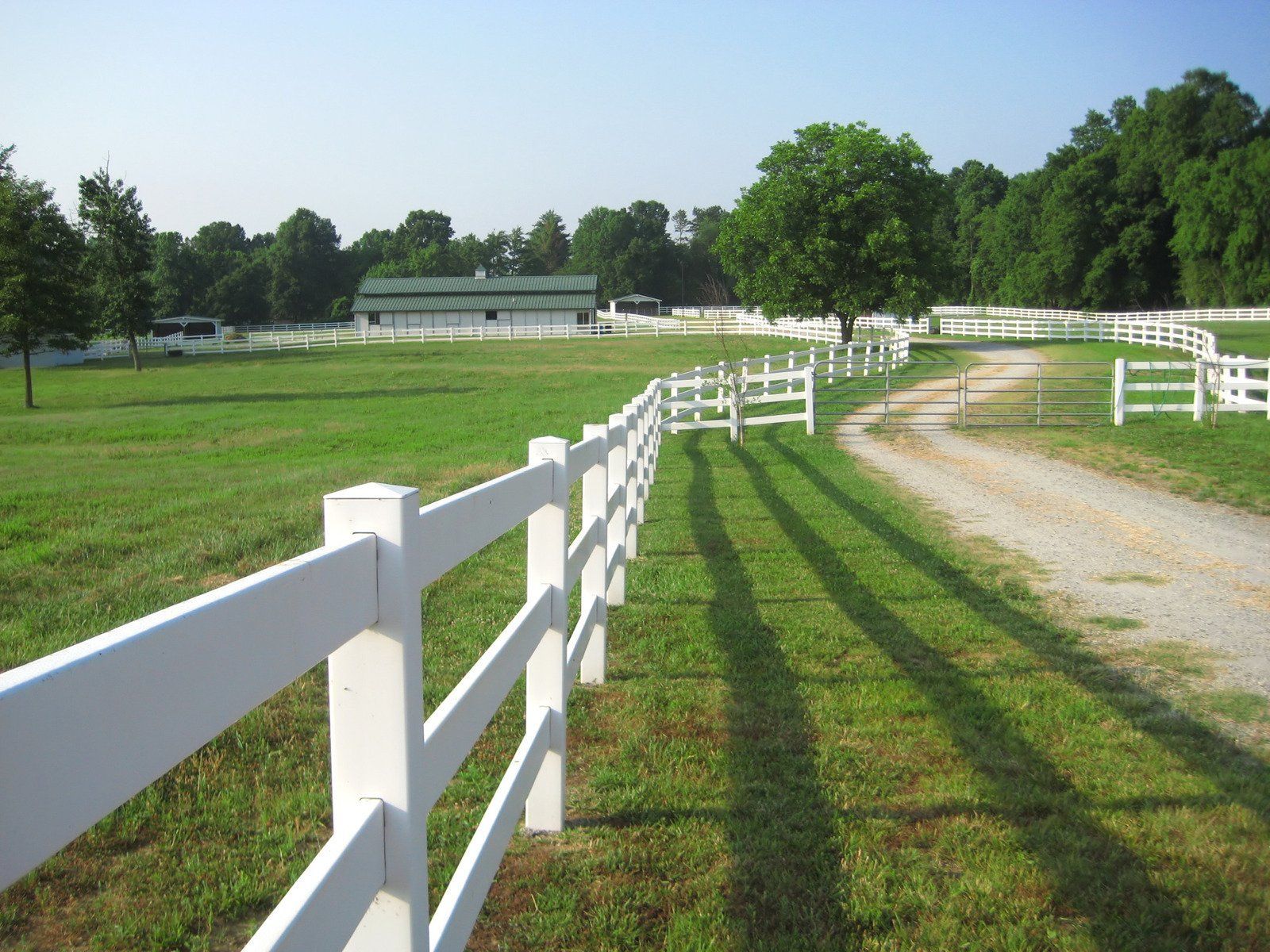 White fenced pasture with a gravel road, leading to a building and trees.