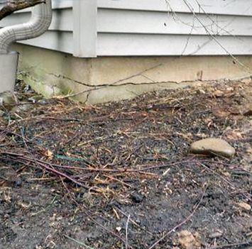Foundation Failure
