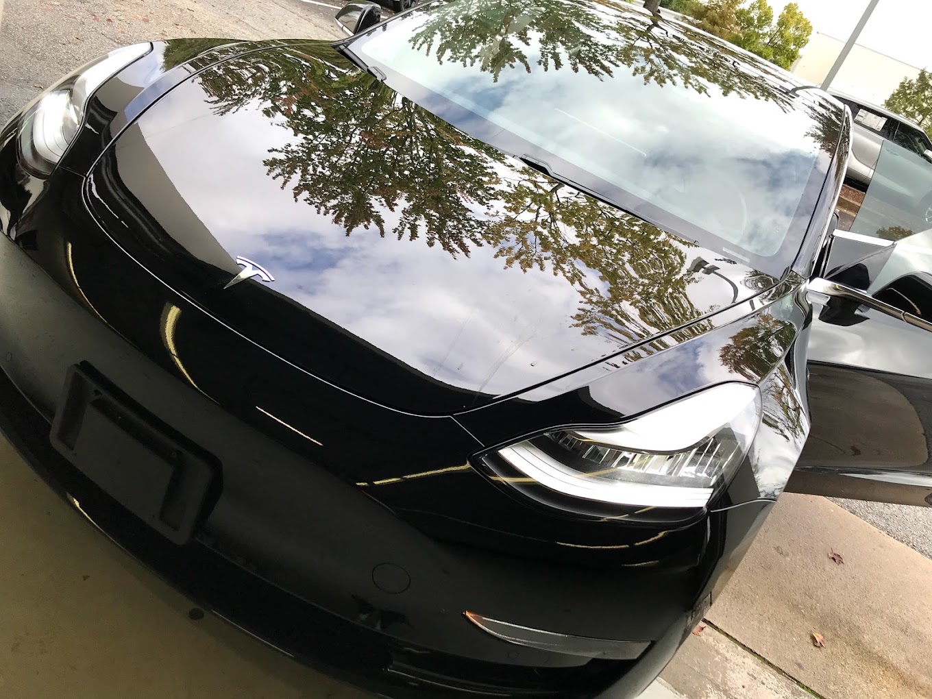 East Coast Tint Enterprise Roswell, GA Auto Window Tinting, Paint