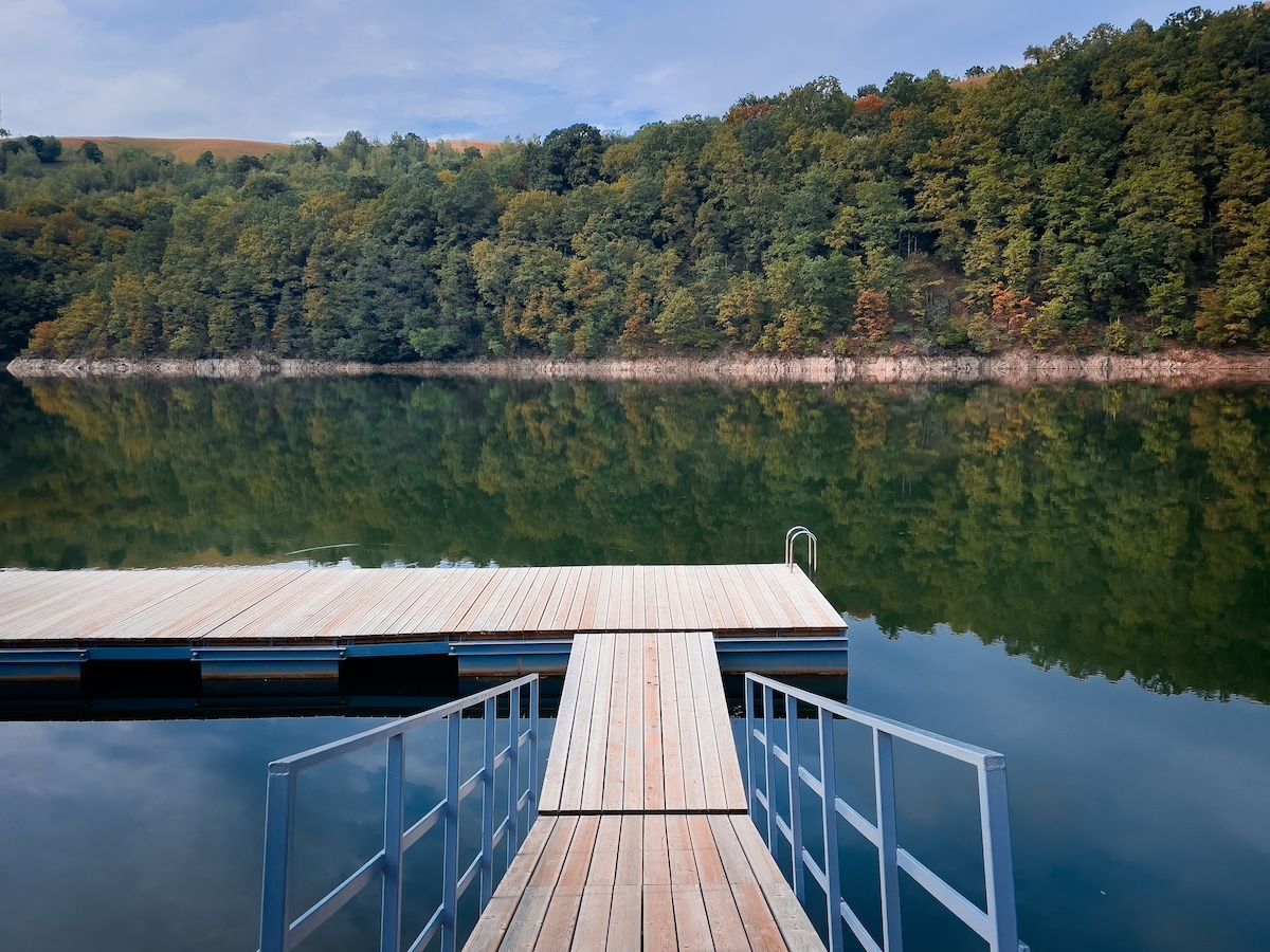 Wooden dock extending into calm lake, surrounded by green trees under a blue sky.