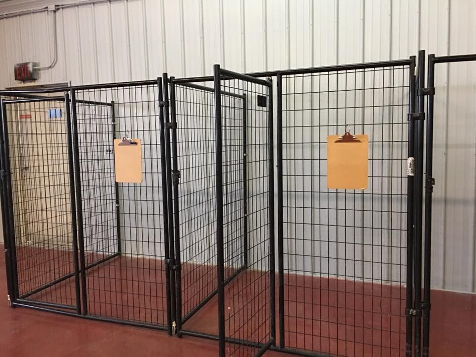 A row of black wire dog kennel enclosures with two empty clipboards hanging on the metal mesh panels. A row of black wire dog kennel enclosures with two empty clipboards hanging on the metal mesh panels.