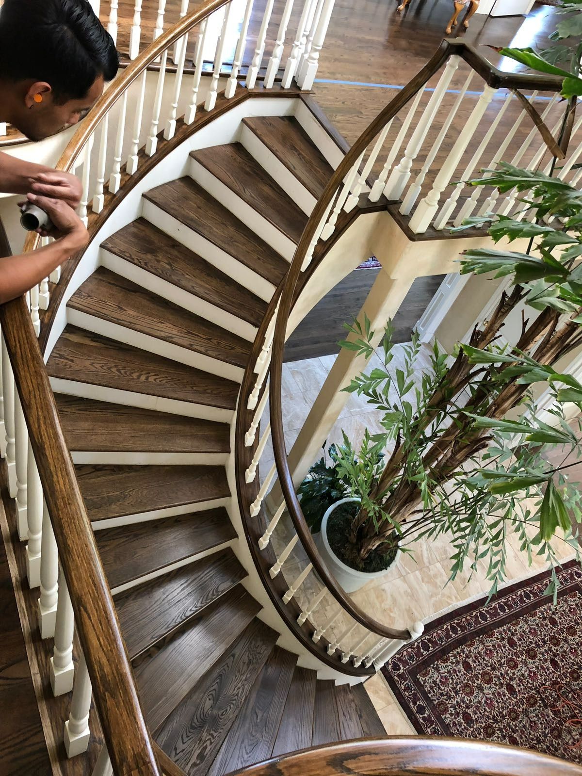 Curved wooden staircase with white balusters. Person leans on railing, next to large potted plant.