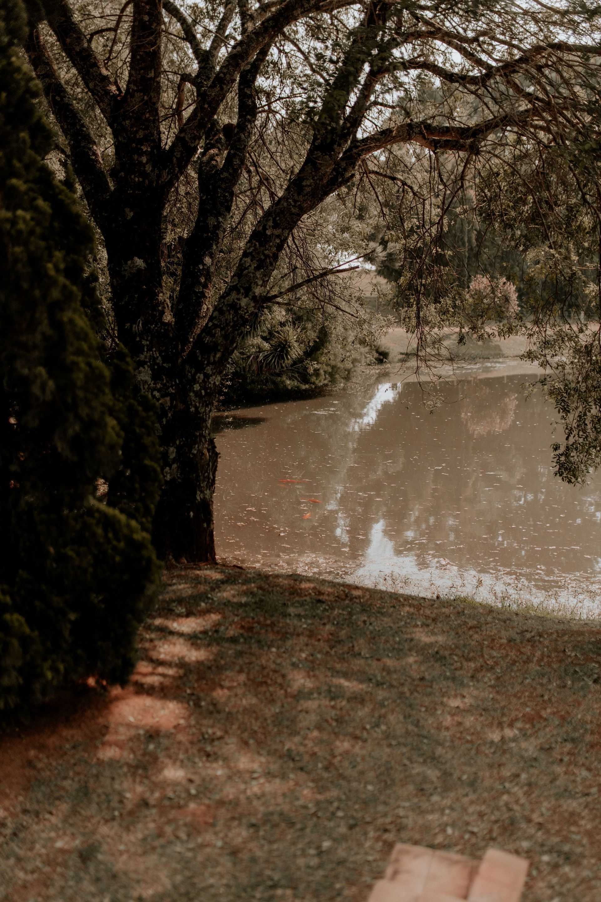 Outdoor scenery near WinStar Casino and River of Love Cabins
