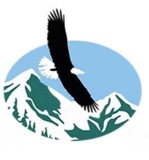A bald eagle flying diagonally over stylized green and white snow-capped mountains against a light blue oval background.