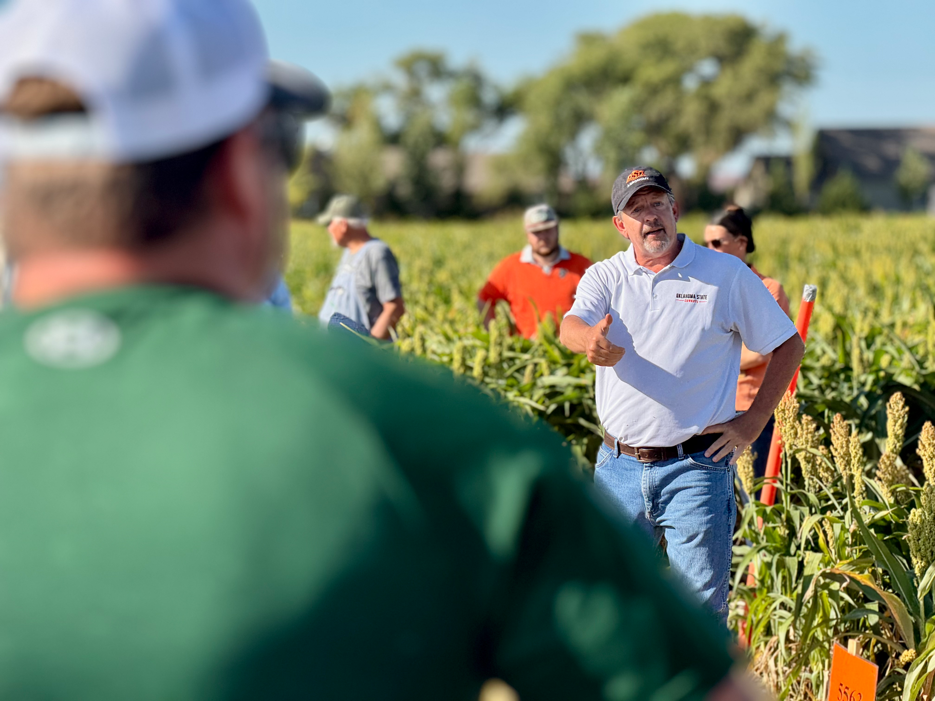 A man in a white shirt stands in a field with other people