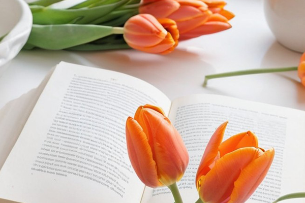 Podcasts April May Gems Author, FreshFM NZ Hope, baby loss support