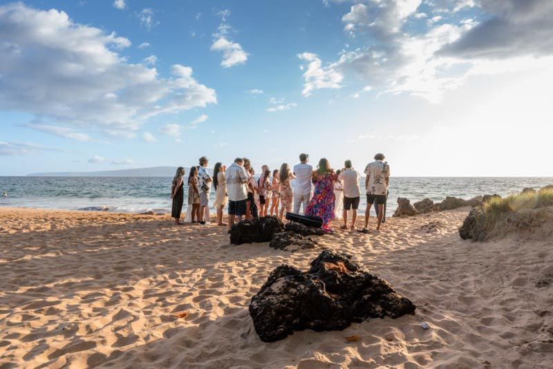 group on beach during day