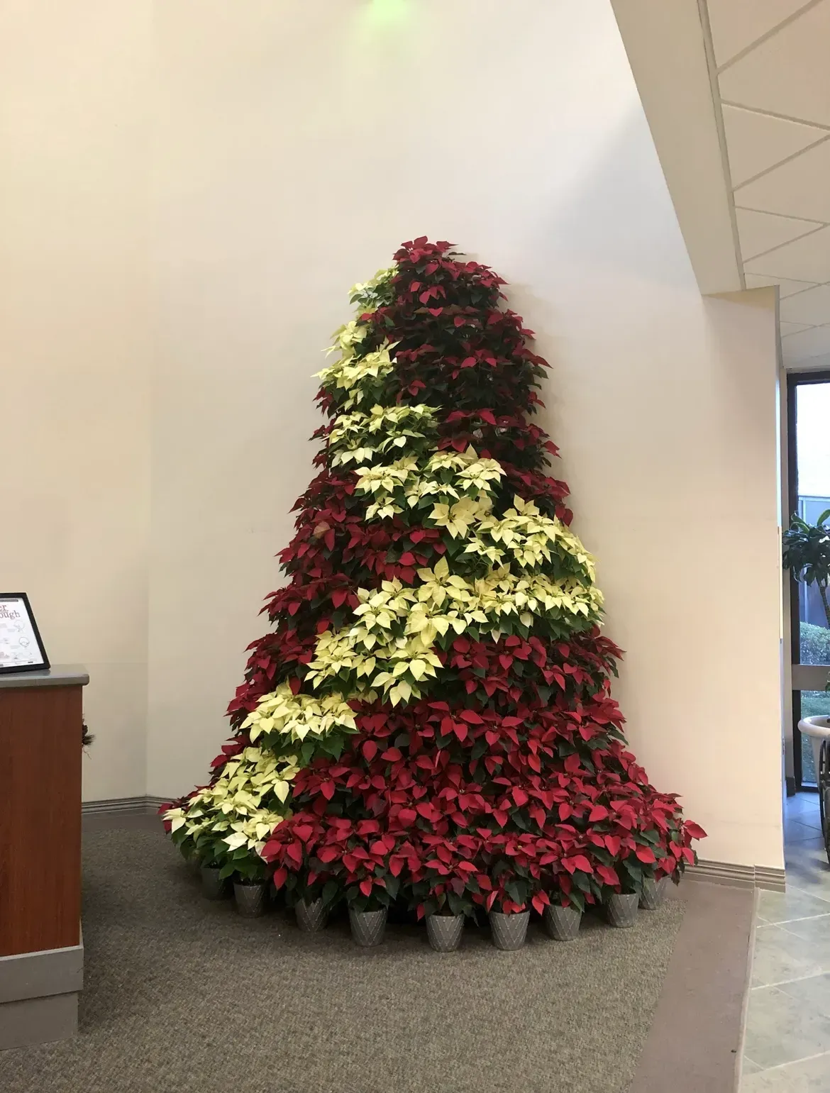 holiday decor