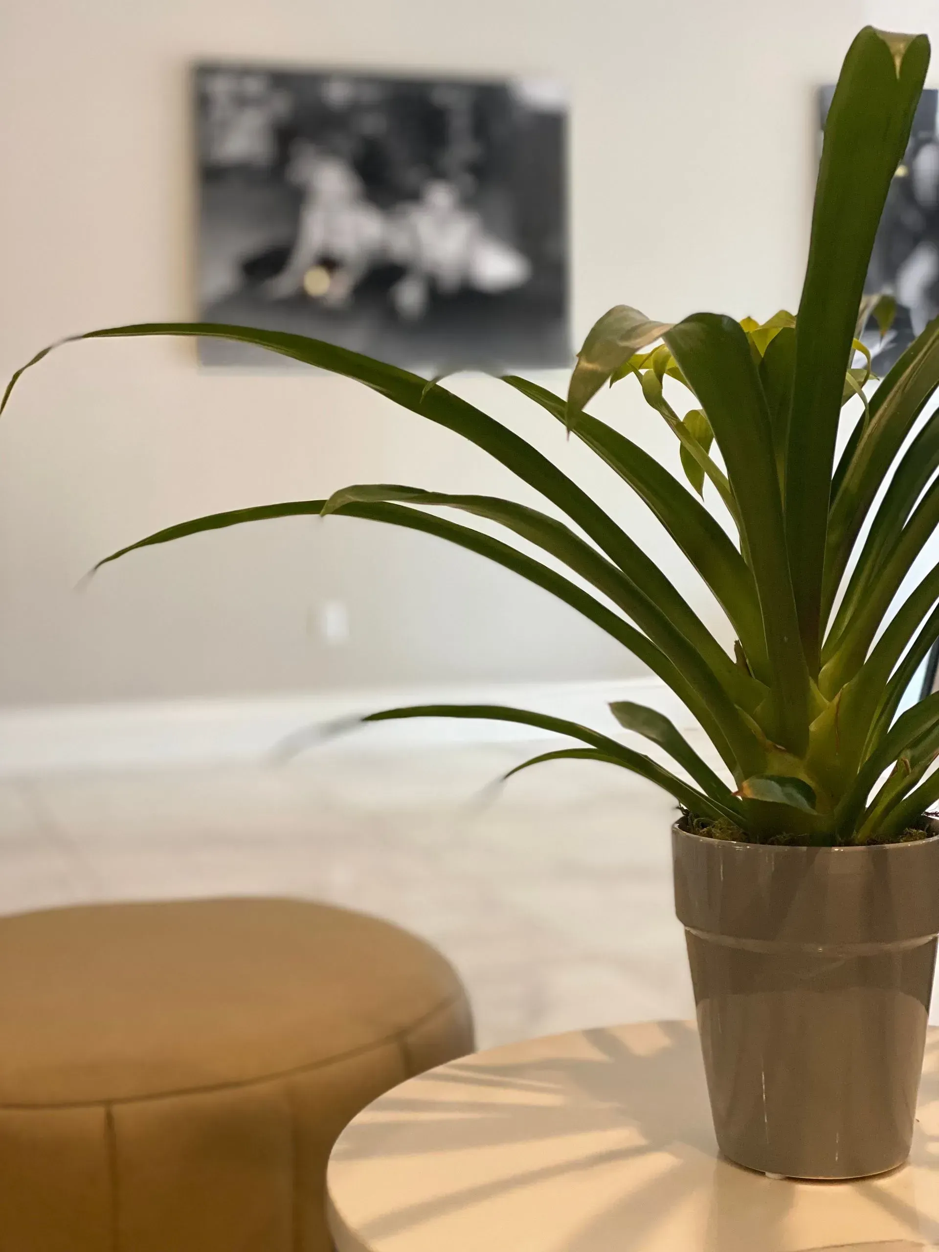 Floral decor