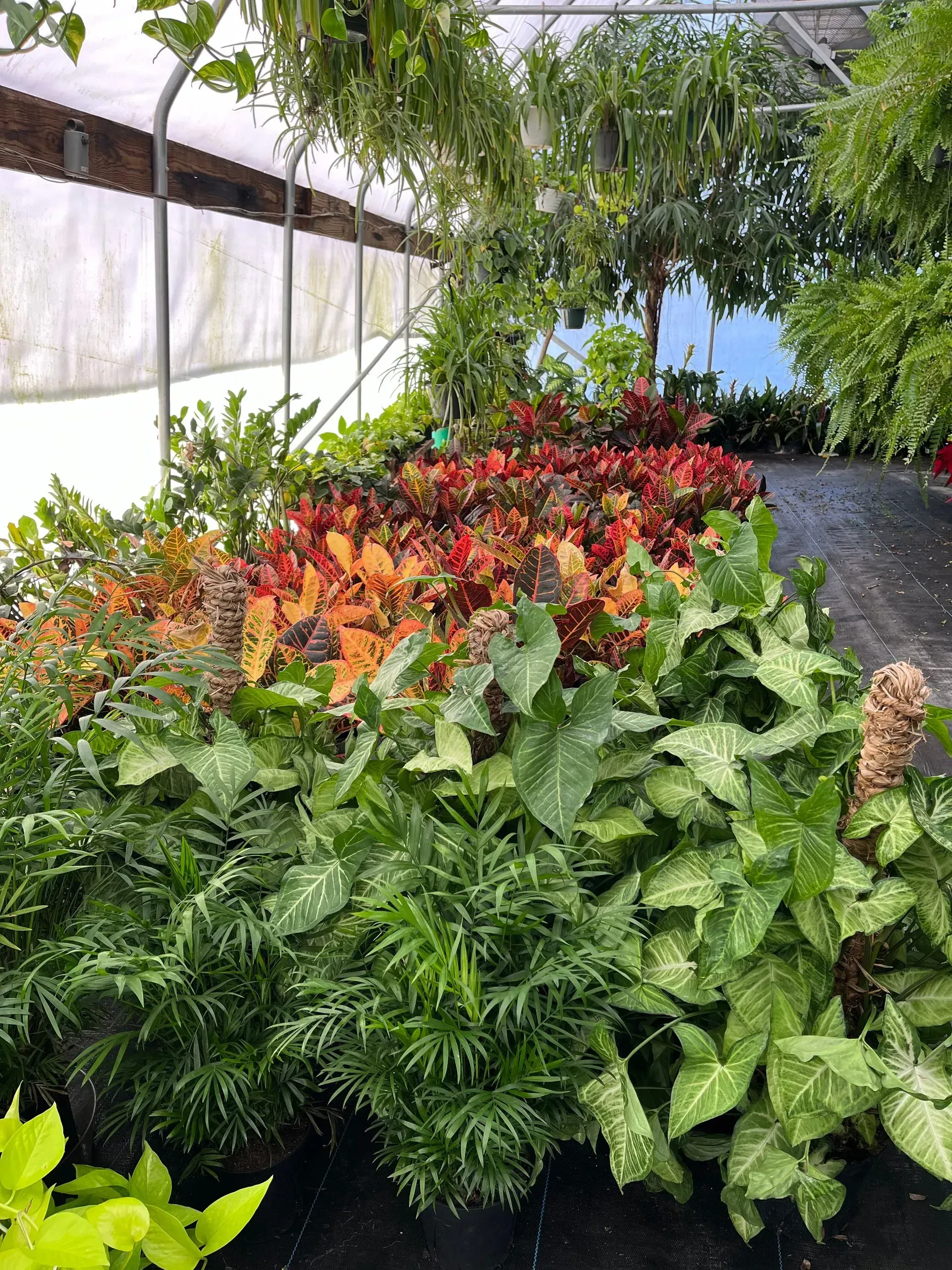 Floral decor