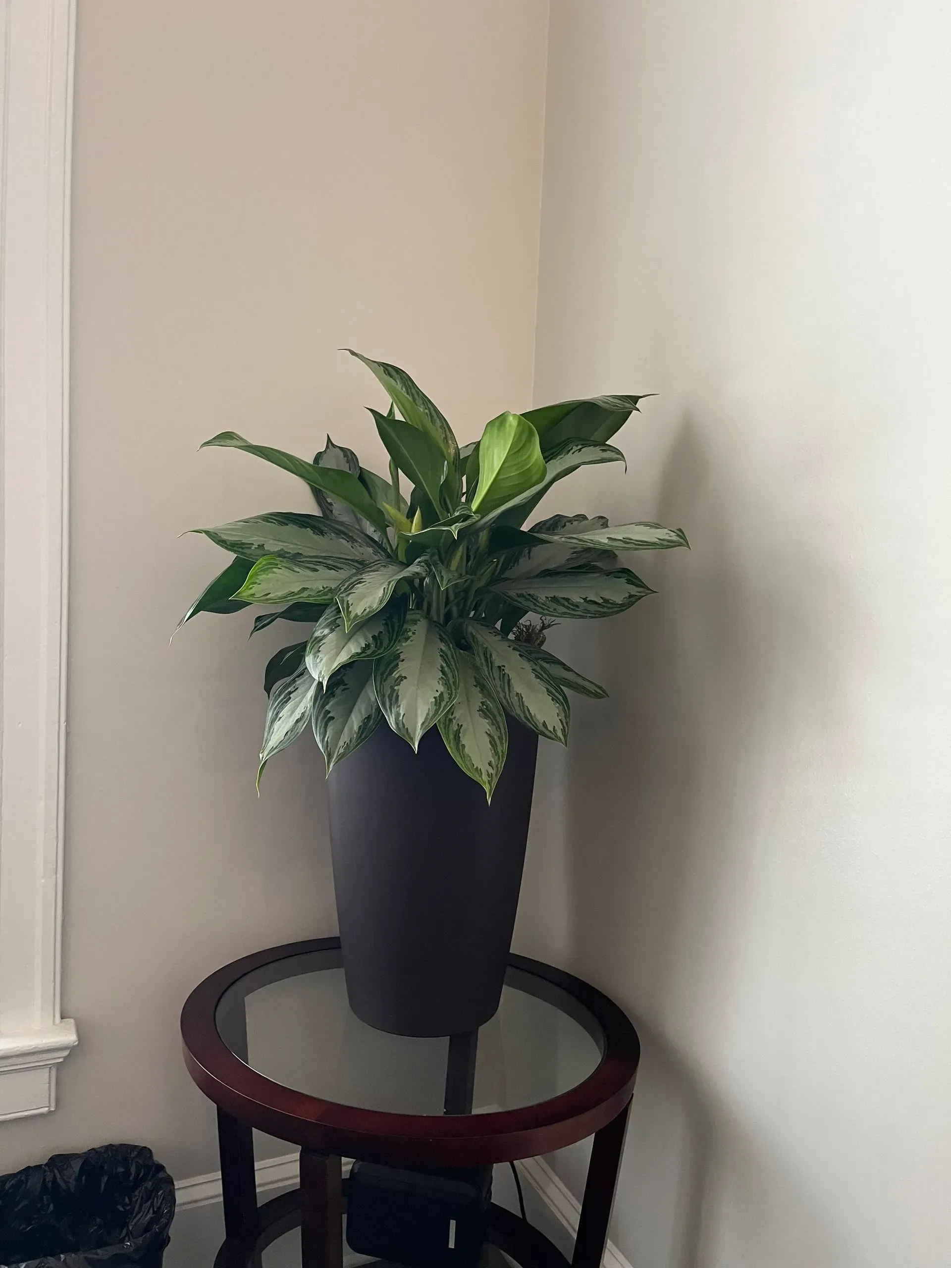 Floral decor