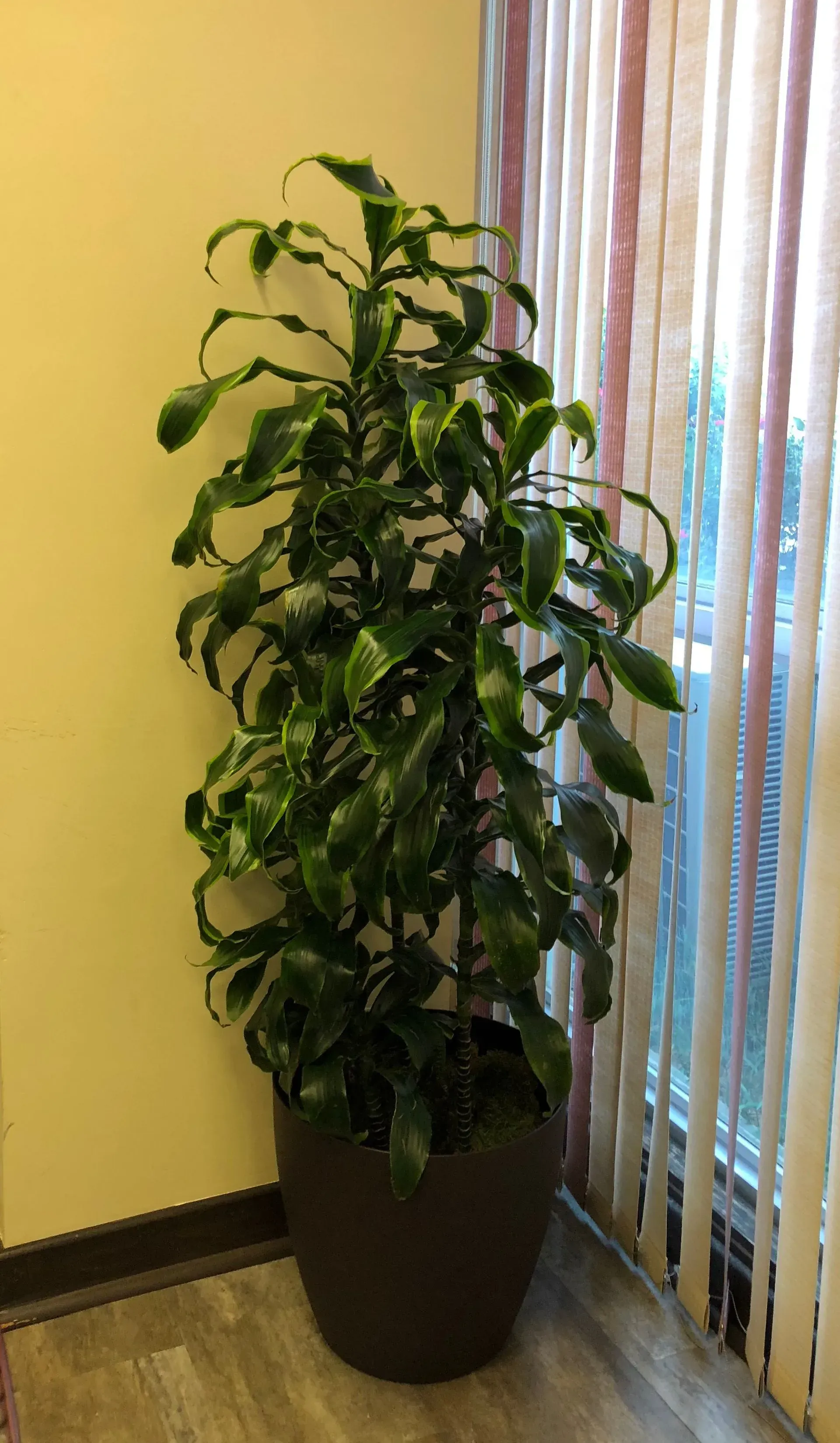 Floral decor
