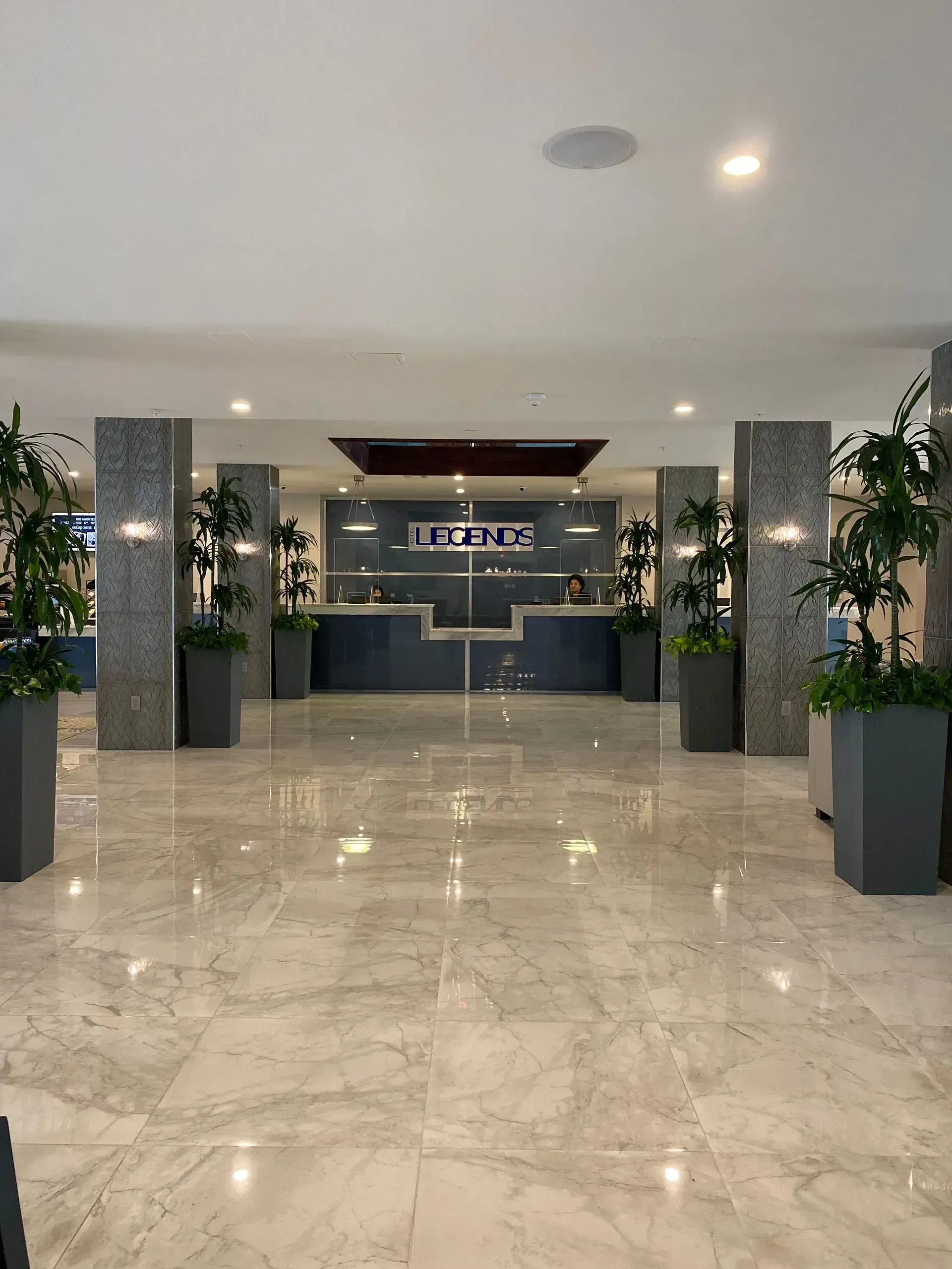 plants in corporate waiting room
