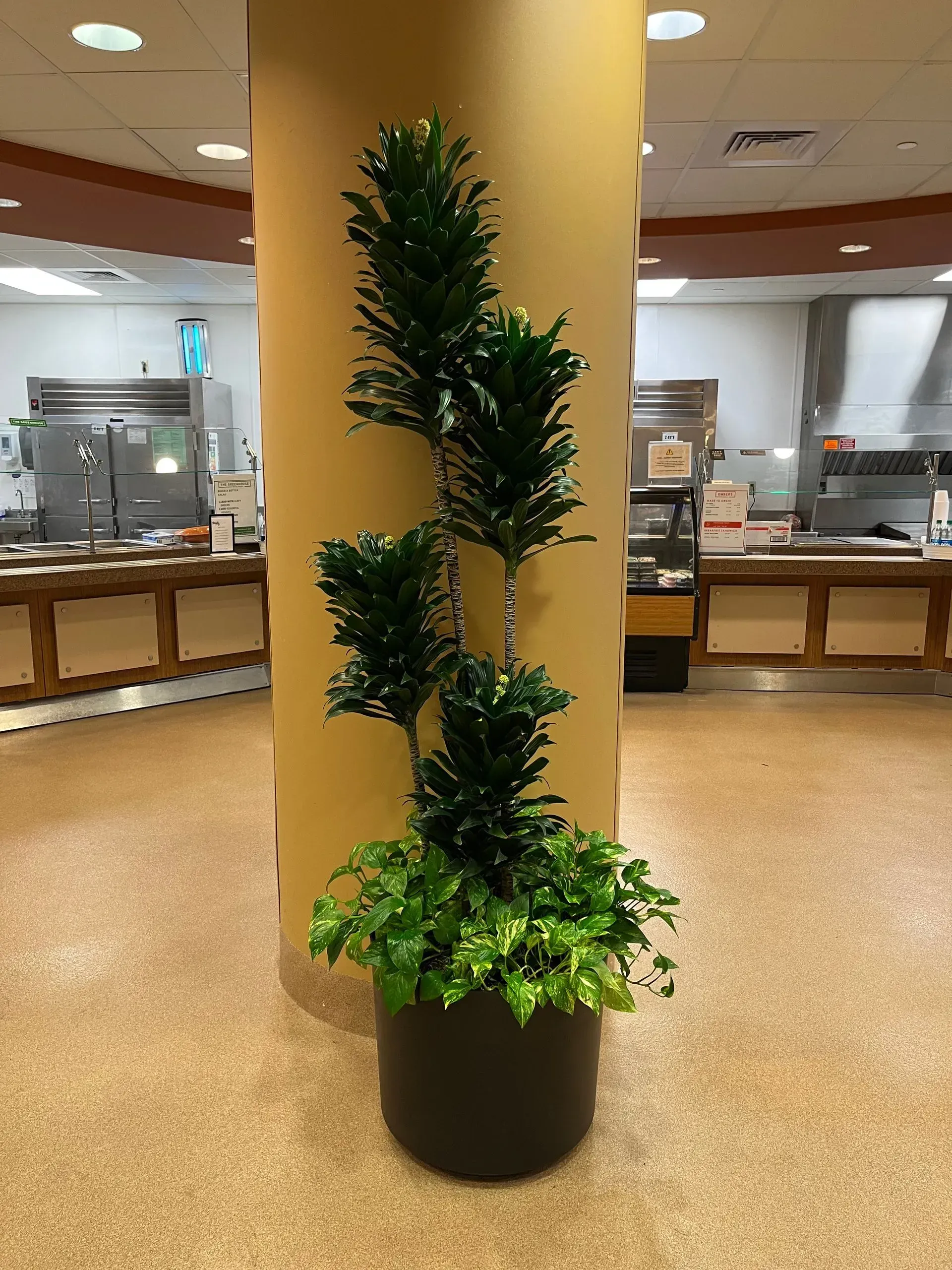 Floral decor
