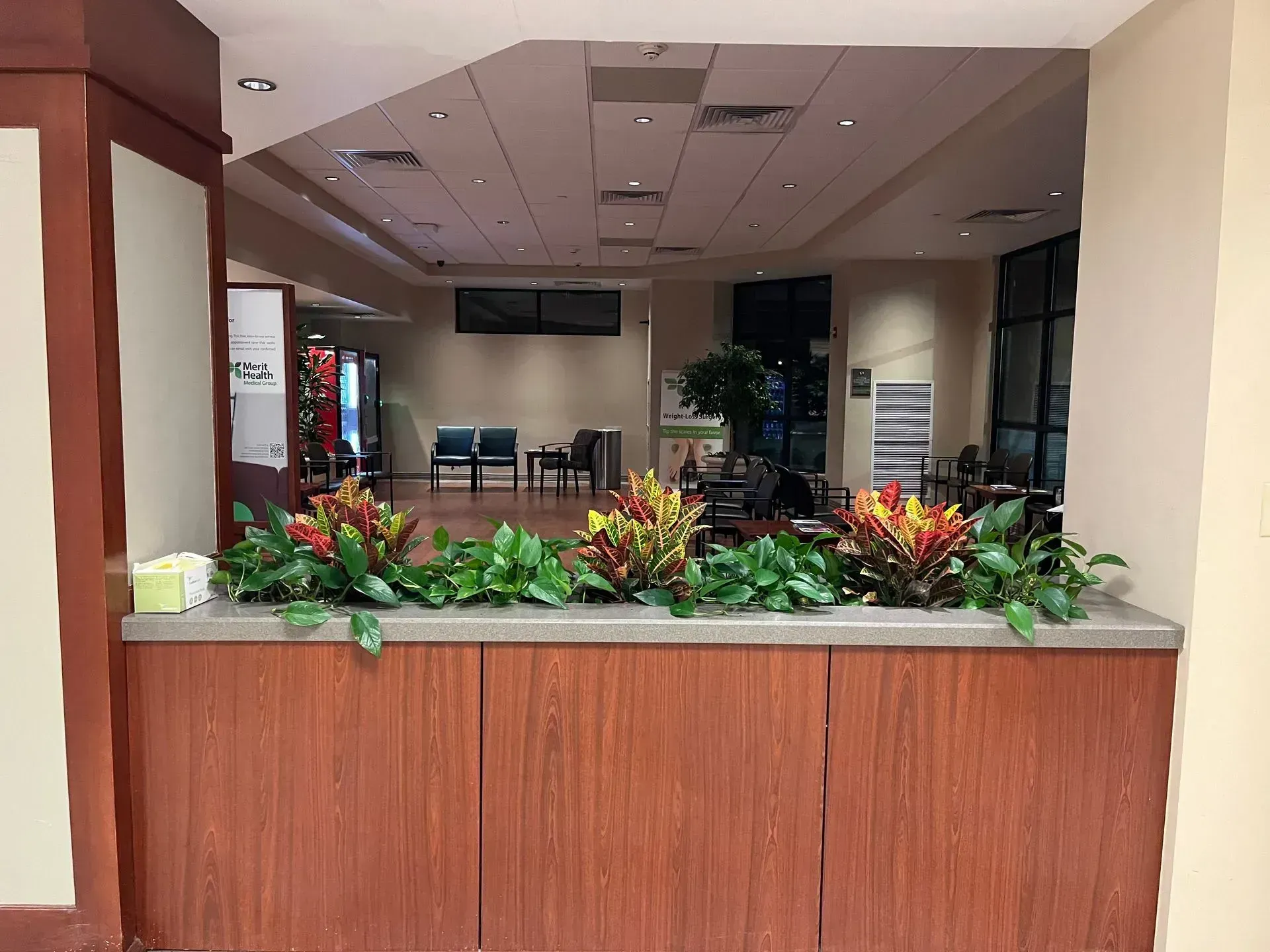 plants in corporate office