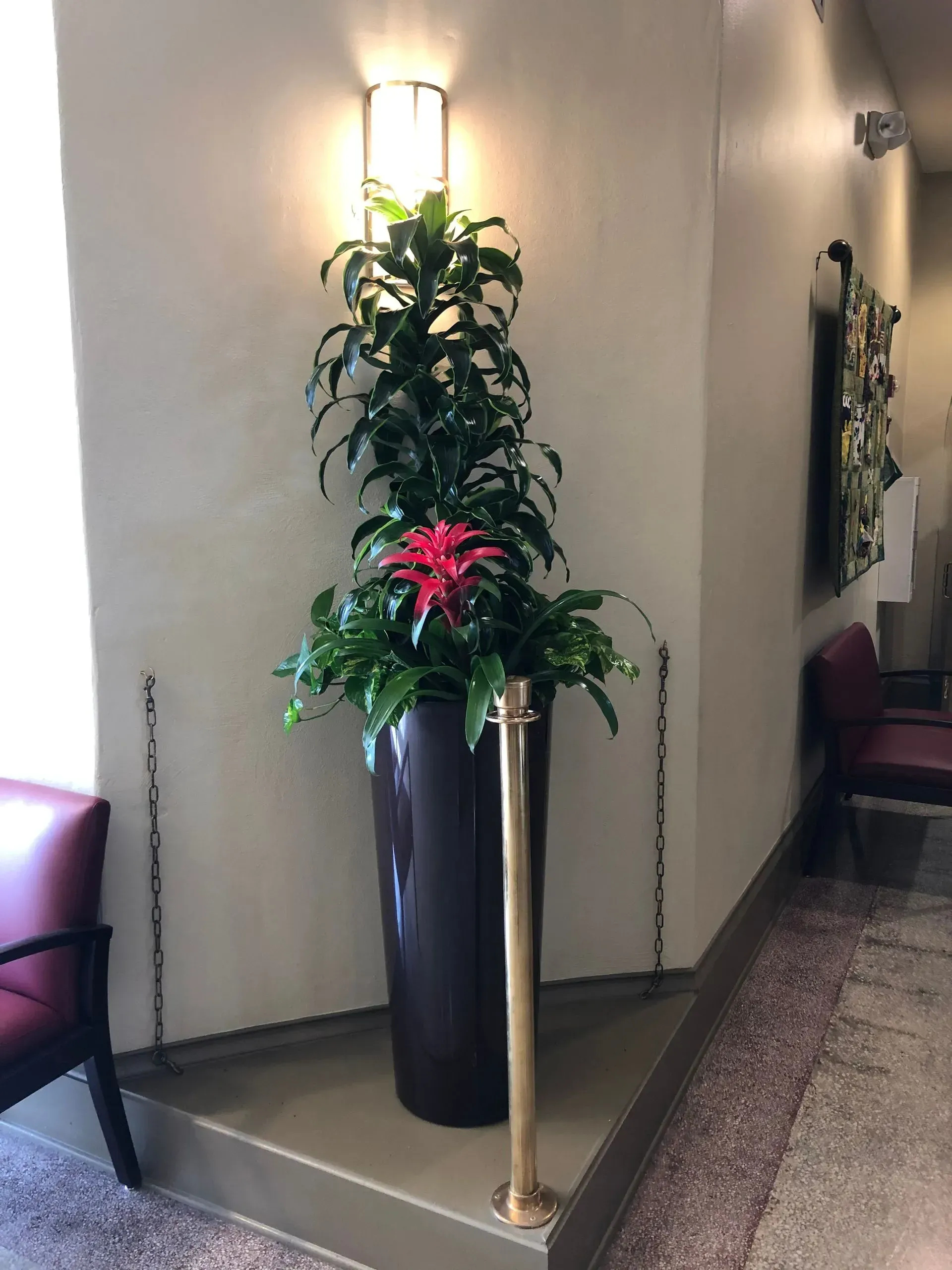 floral decor