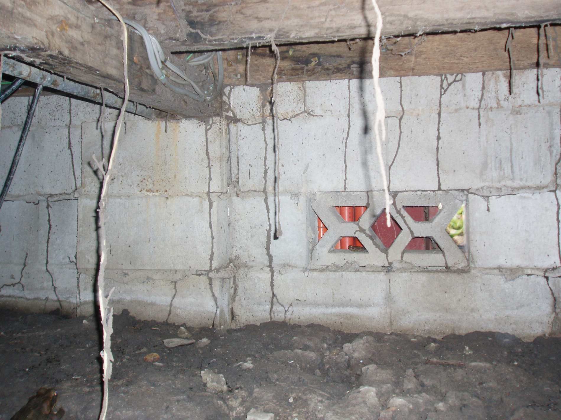 Termites in basement