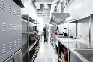 Pest Services for your business