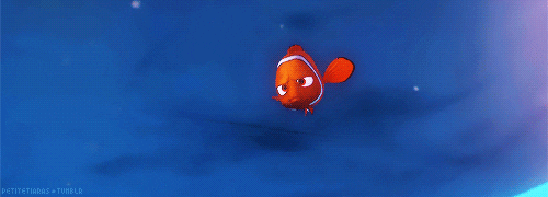 nemo touching the boat