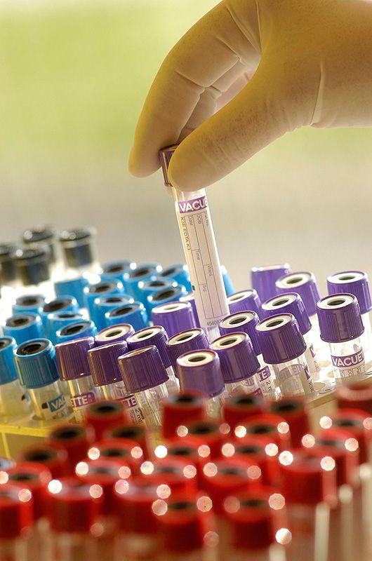 LABORATORIO CLINICO DEL CAMPESTRE Análisis Clínicos