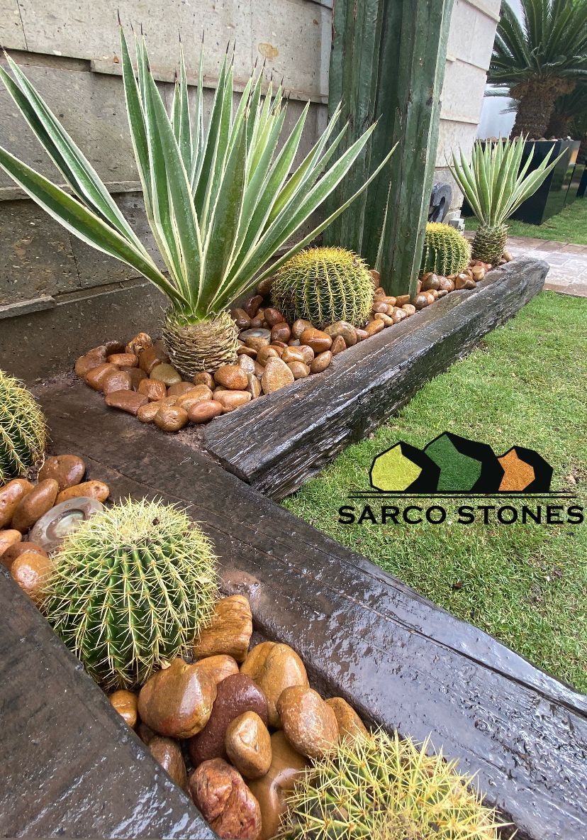 SARCO TORREÓN