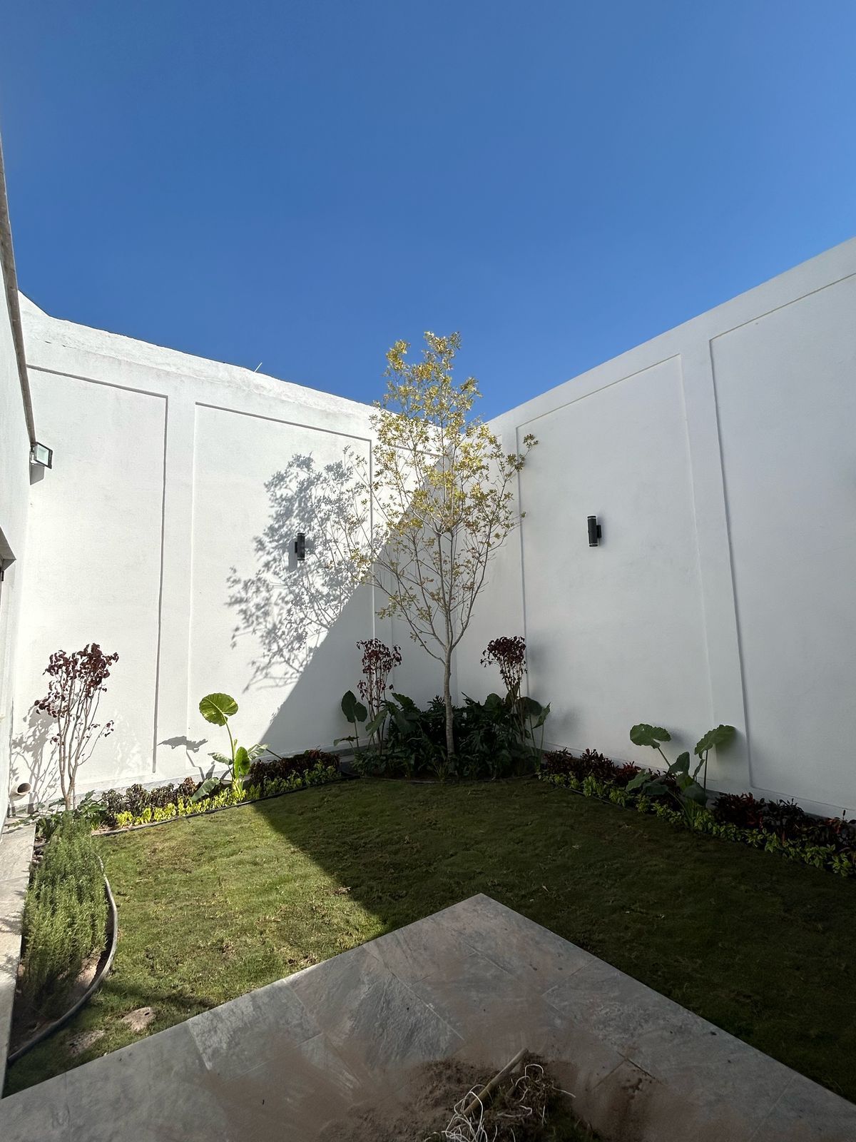 SARCO TORREÓN