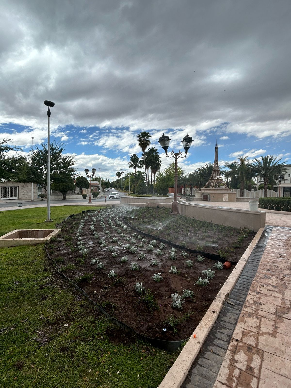 SARCO TORREÓN