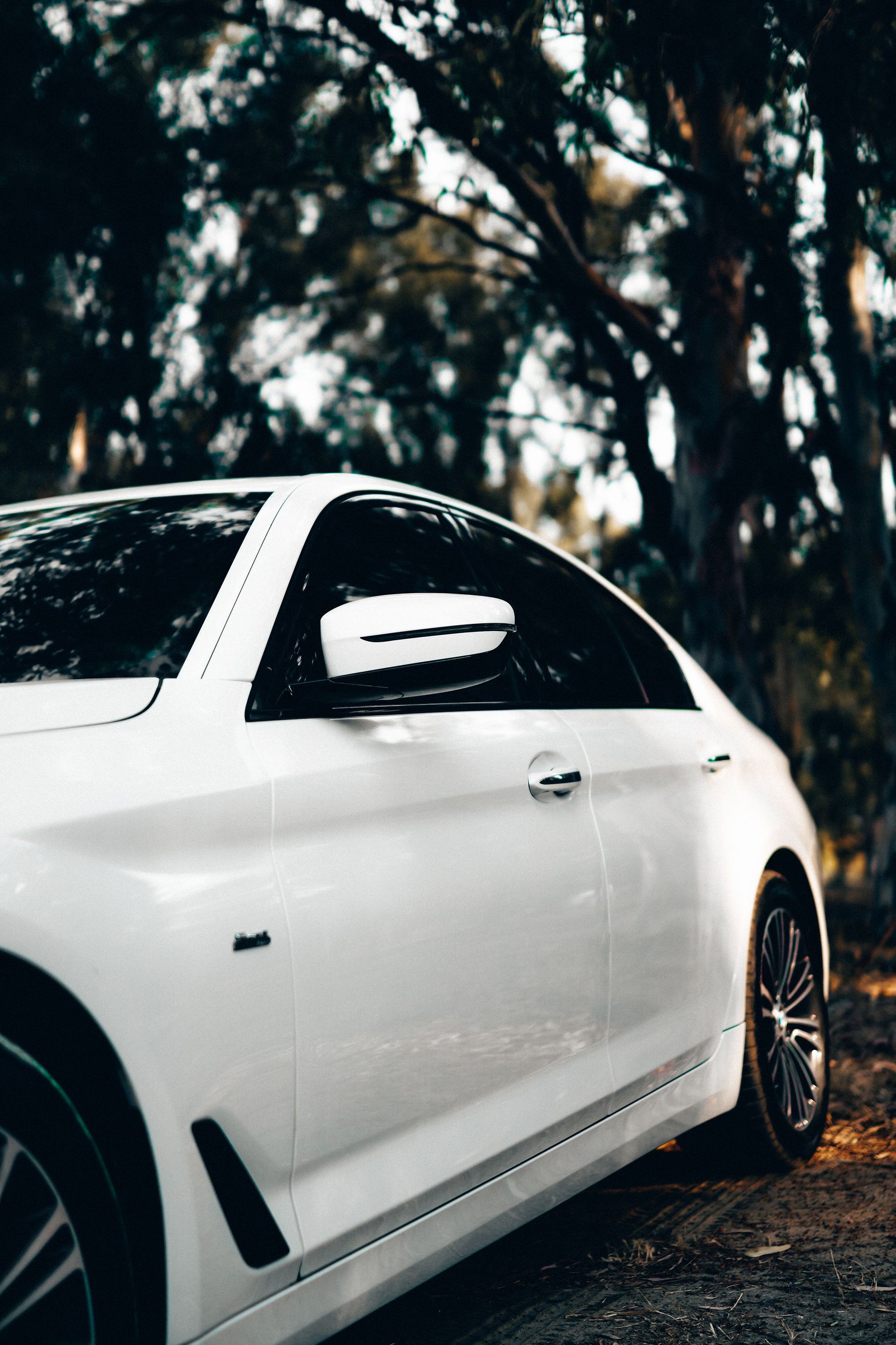 White coupe parked on a wooded dirt path with dark trees in the background