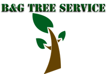 B & G Tree Service