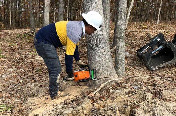 Man Using Saw To Remove Tree — Middletown, OH — B & G Tree Service