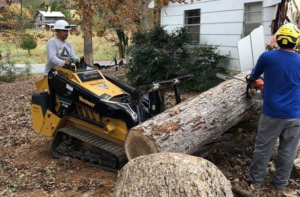 Man On Vehicle Removing Stump — Middletown, OH — B & G Tree Service Man On Vehicle Removing Stump — Middletown, OH — B & G Tree Service