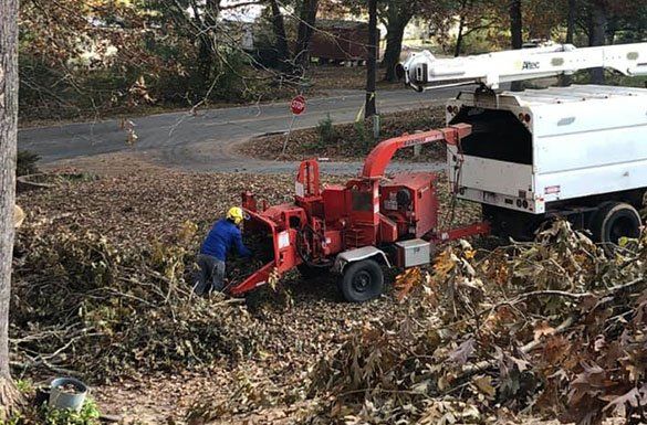 Men Clearing Tree Debris — Middletown, OH — B & G Tree Service Men Clearing Tree Debris — Middletown, OH — B & G Tree Service