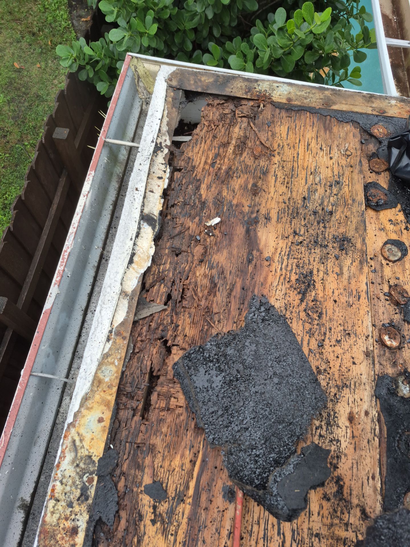 Damaged roof deck after removing old tile roof in Wilton Manors FL