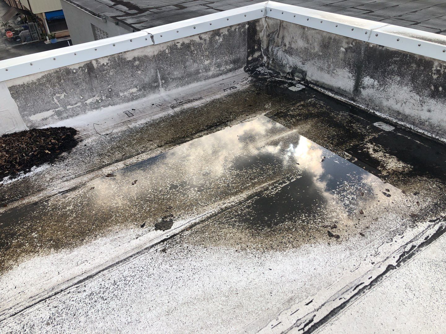 Ponding water on flat roof in commercial building in Hallandale Beach FL