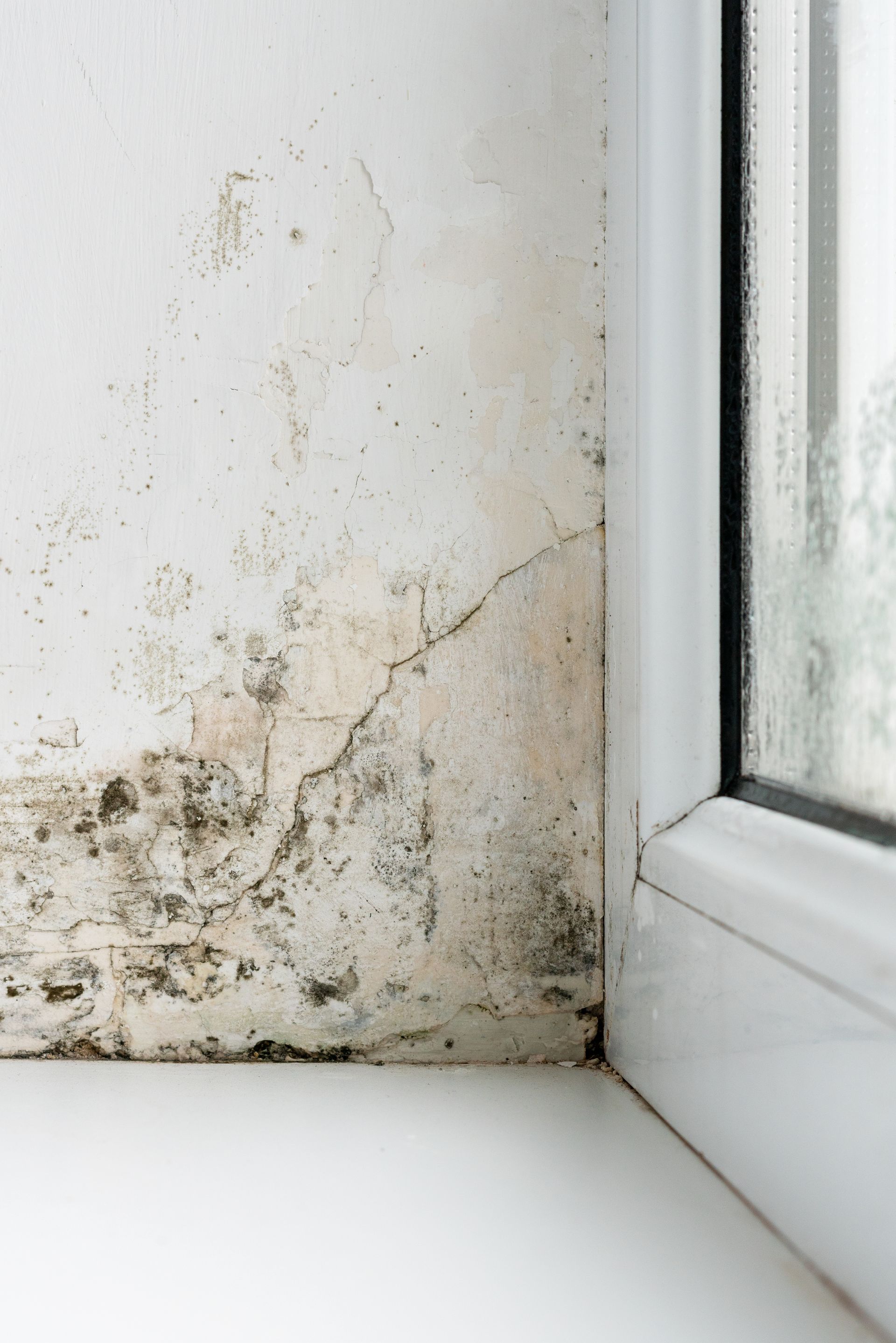 A close up of a window sill with mold on it.