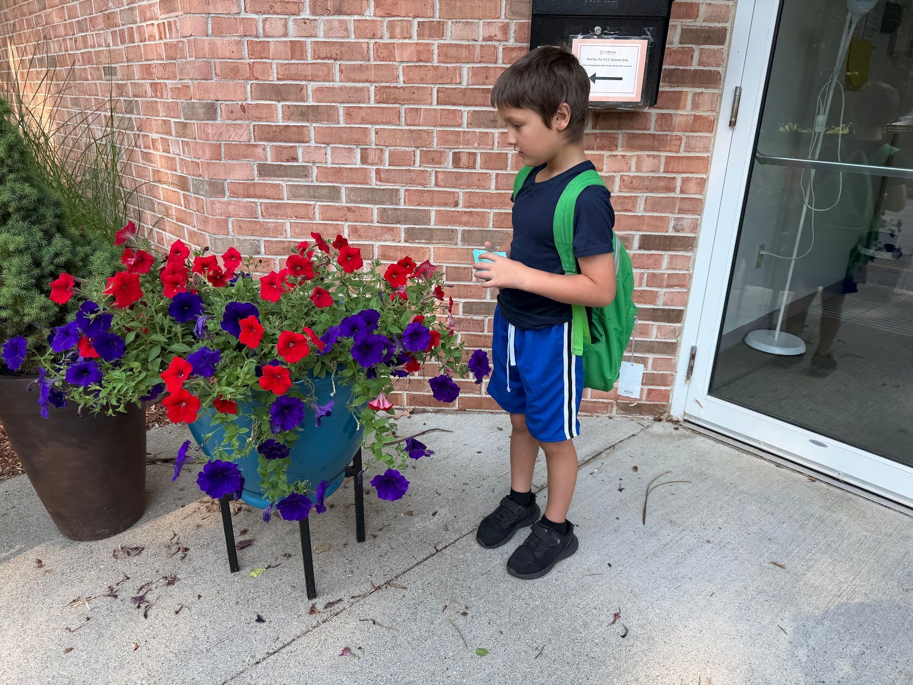 Boy standing by red and purple flowers outside a brick building