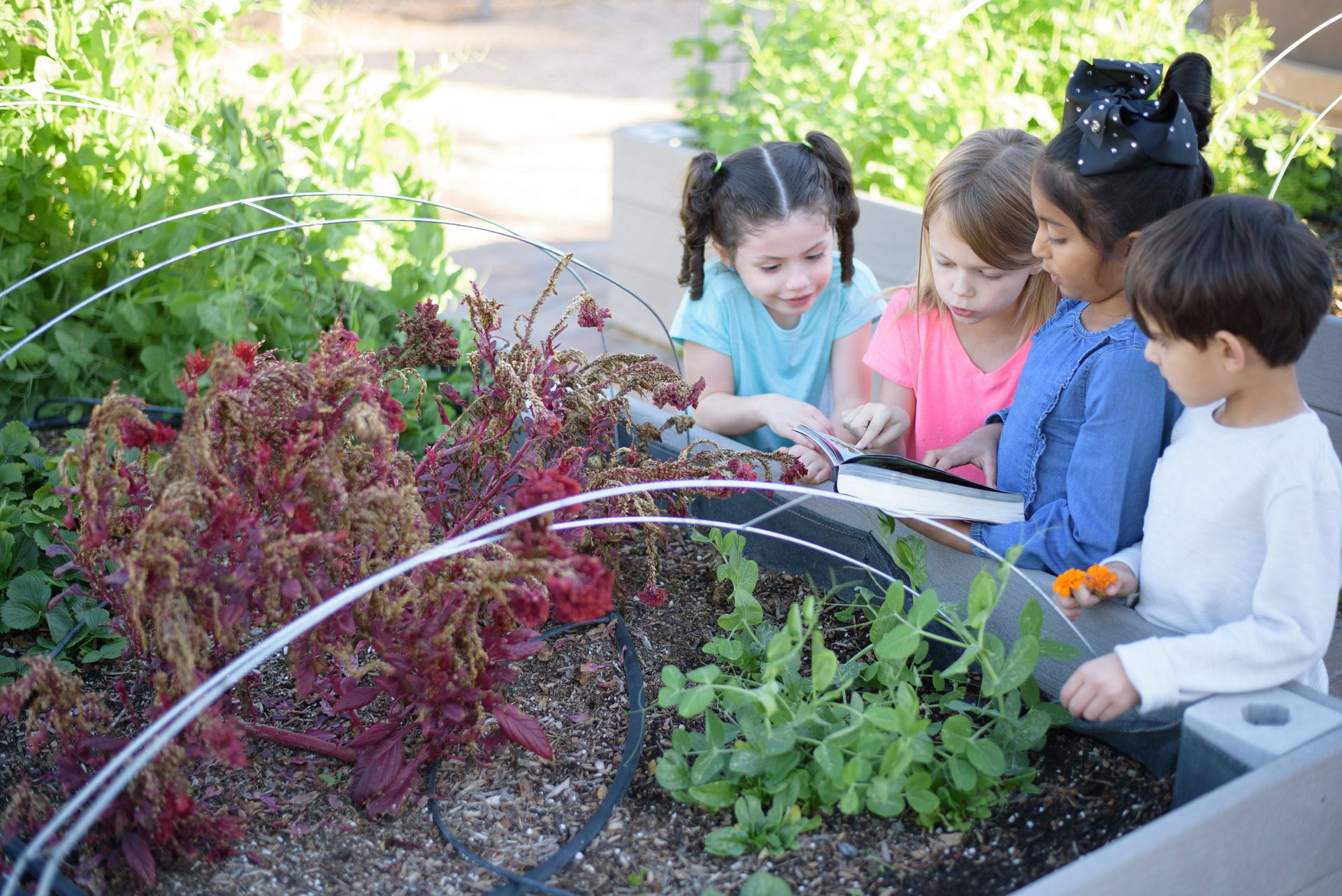 Children watering plants in a raised garden bed outdoors