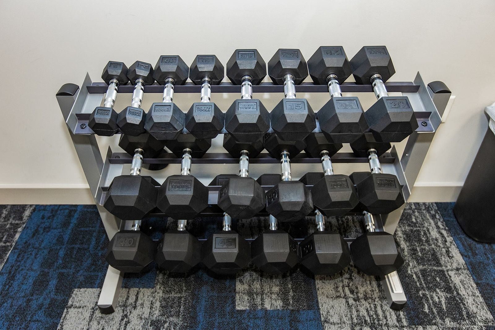 Rows of black hex dumbbells on a rack against a wall in a gym, with a blue patterned carpet at Verde at Howard Square West Apartments in Elkridge, MD.