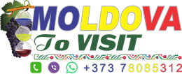 Logo1