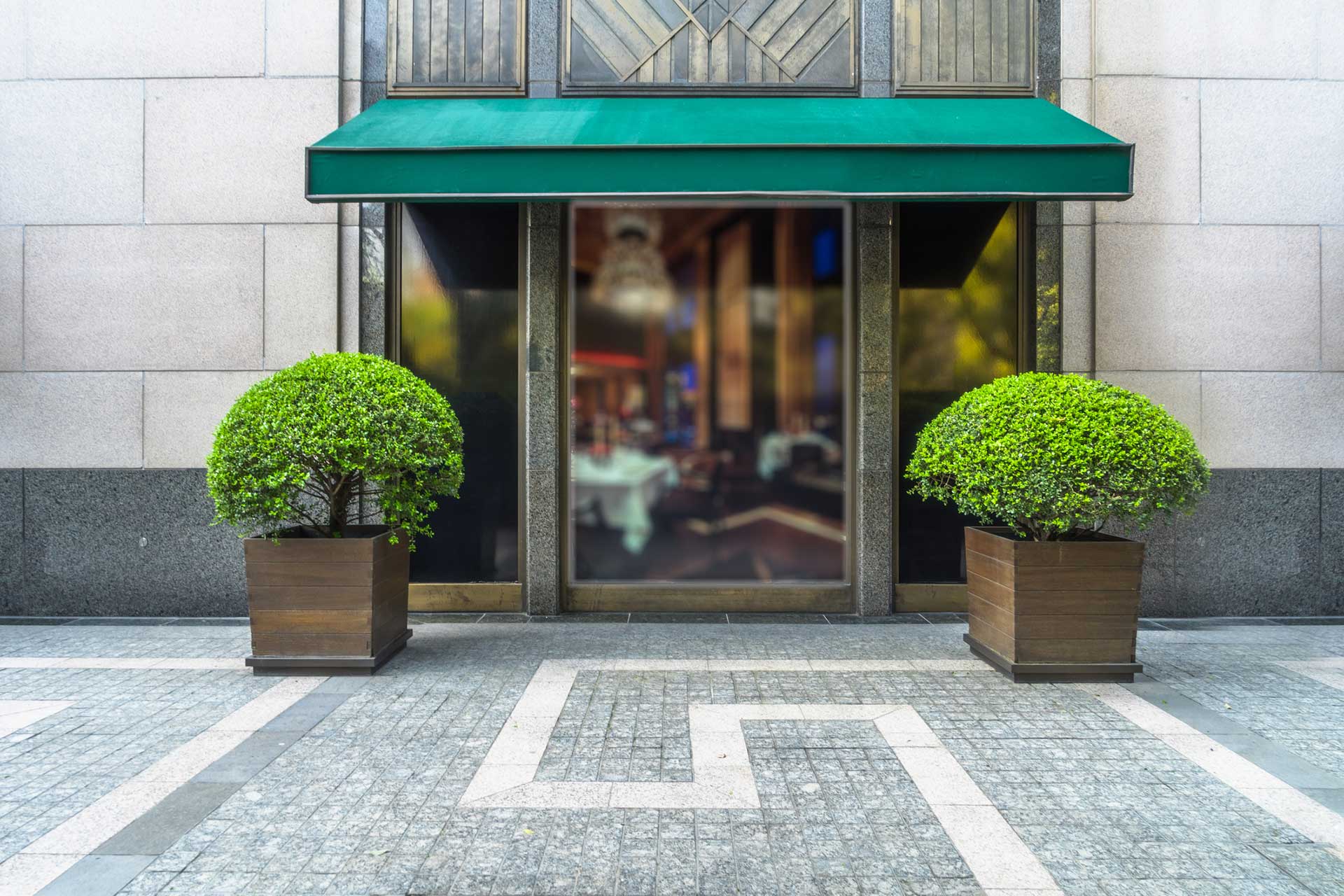 glass store front with two large green bushes to the sides