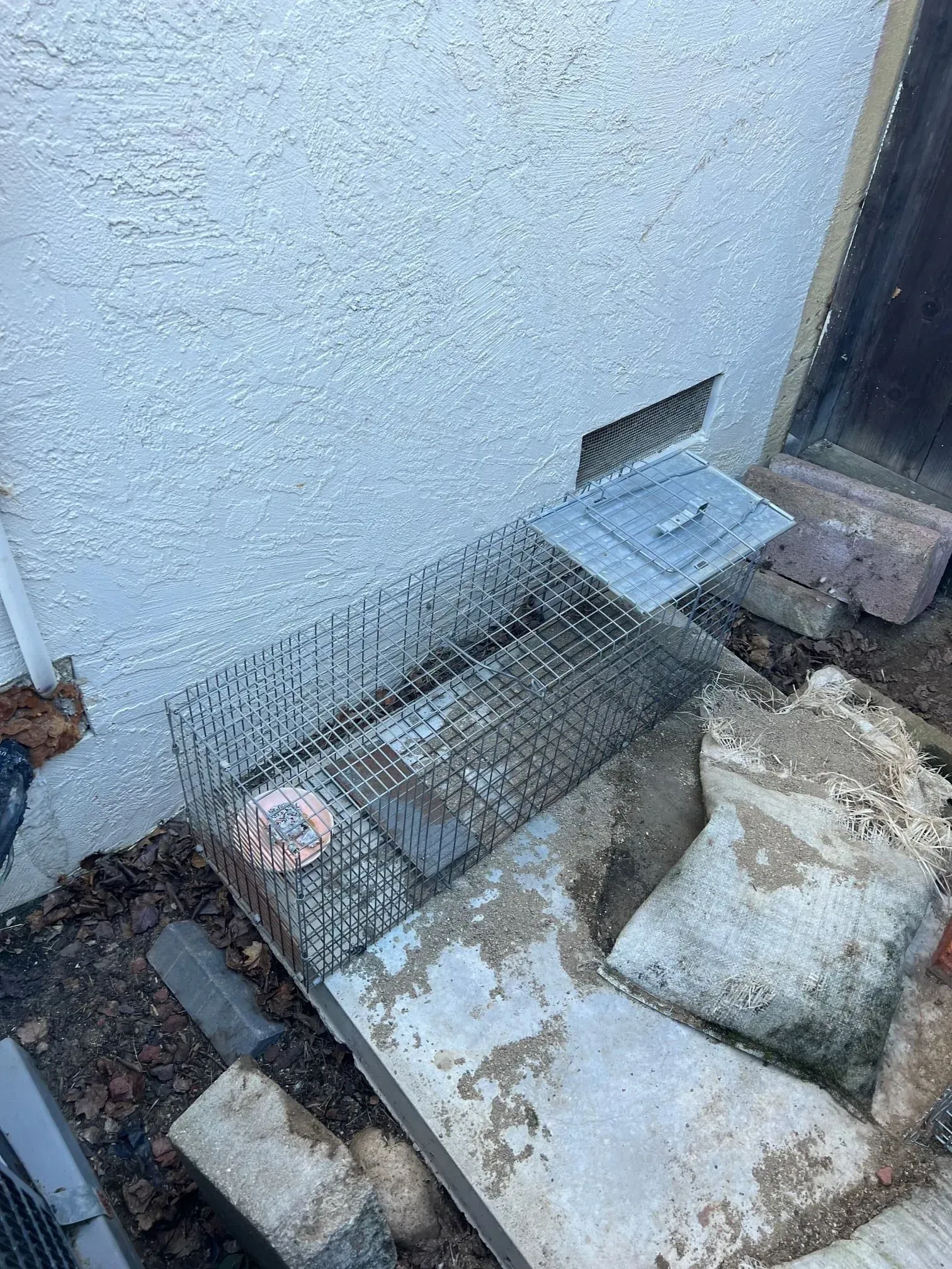 A mouse is in a cage on the side of a building.