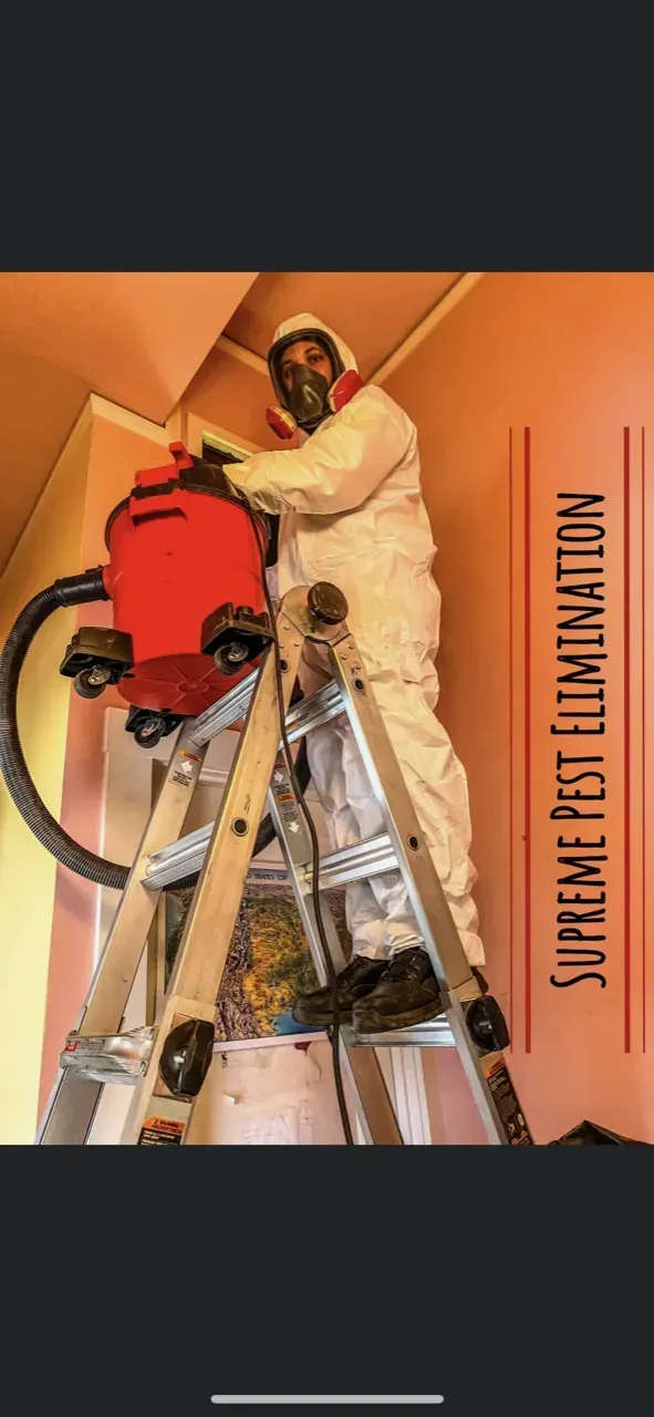 A man in a protective suit is standing on a ladder using a vacuum cleaner.