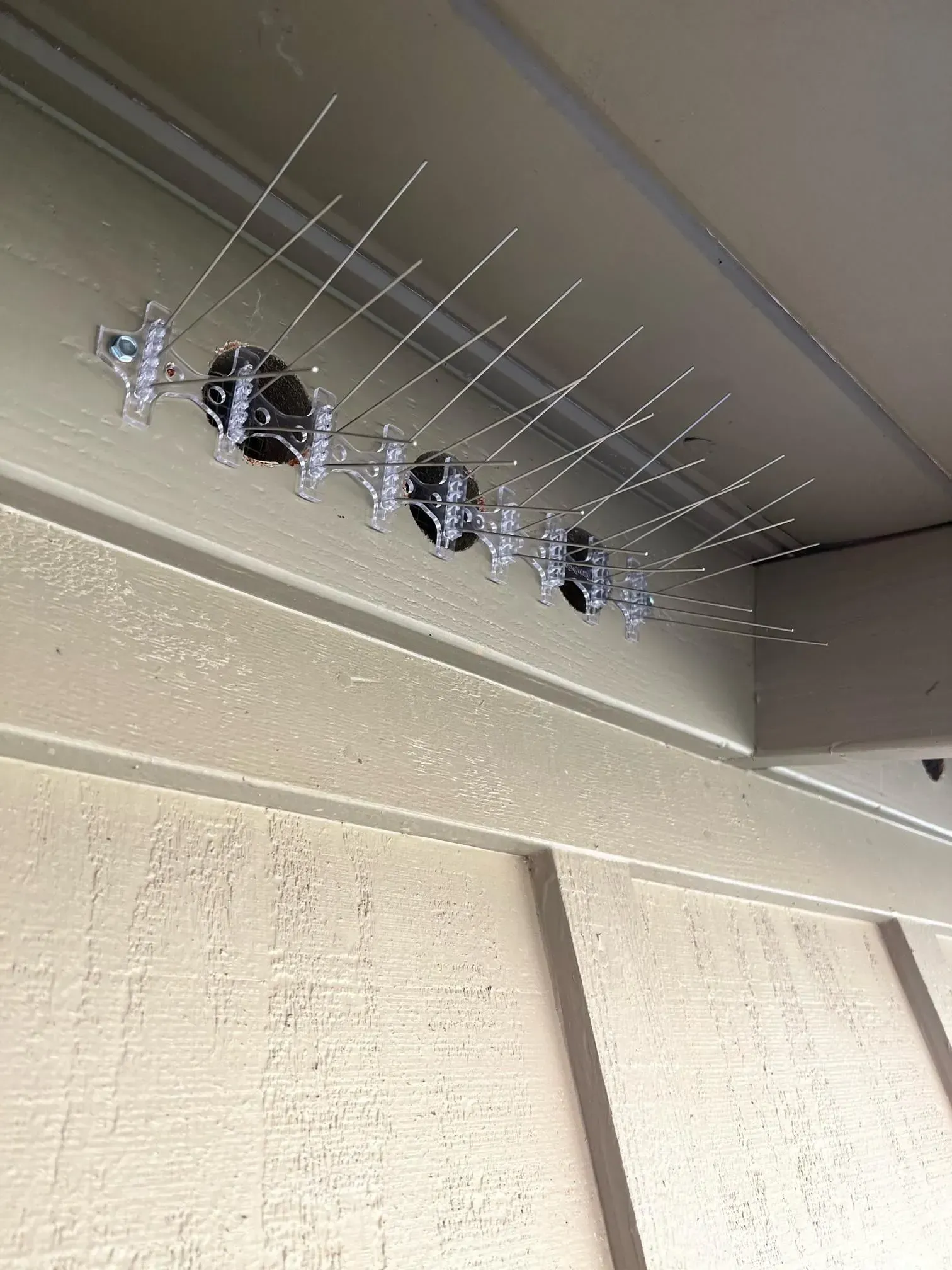 A row of bird spikes hanging from the ceiling of a building.