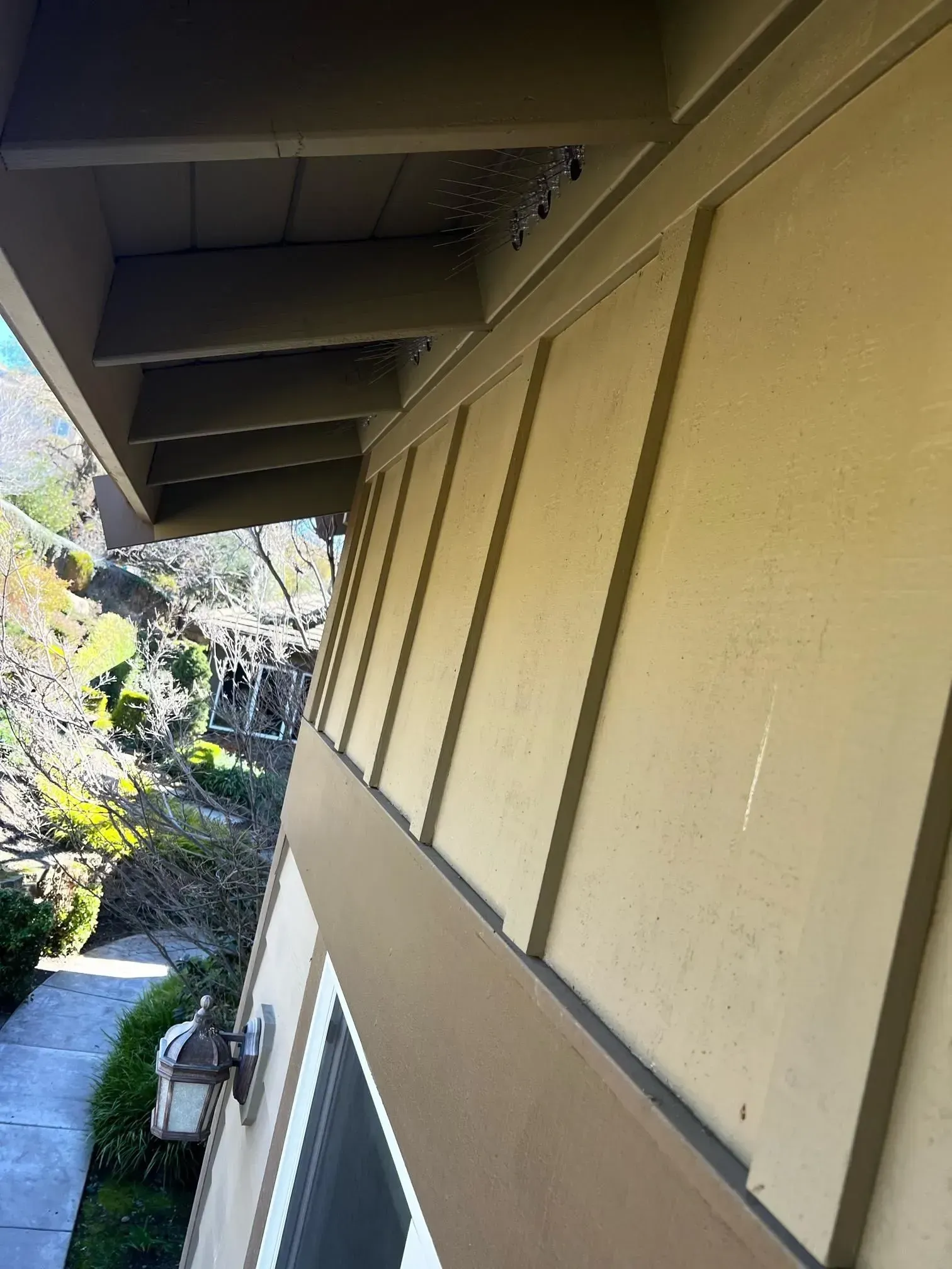 A house with a roof that has a few lines on it